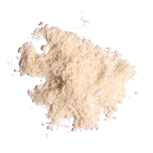 Polímeros y biopolímeros